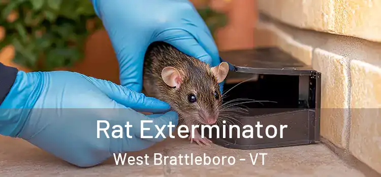  Rat Exterminator West Brattleboro - VT