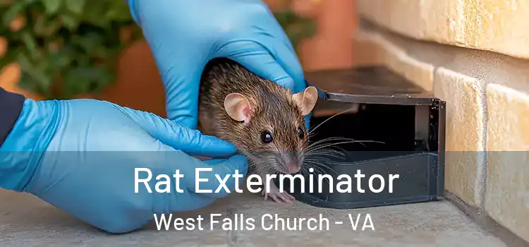  Rat Exterminator West Falls Church - VA