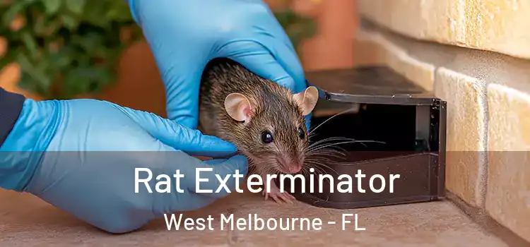  Rat Exterminator West Melbourne - FL