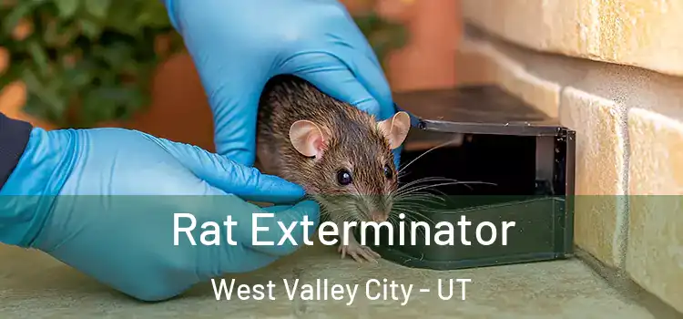  Rat Exterminator West Valley City - UT