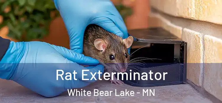  Rat Exterminator White Bear Lake - MN