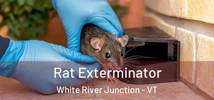  Rat Exterminator White River Junction - VT