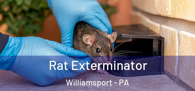  Rat Exterminator Williamsport - PA