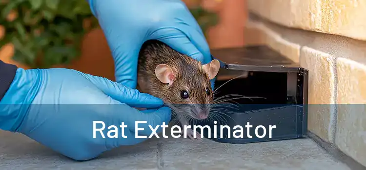  Rat Exterminator 