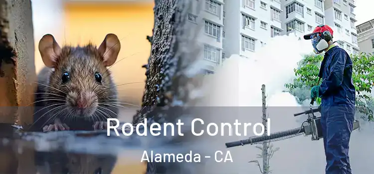  Rodent Control Alameda - CA