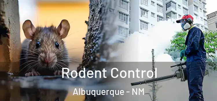  Rodent Control Albuquerque - NM