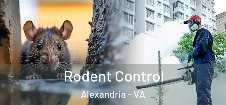  Rodent Control Alexandria - VA