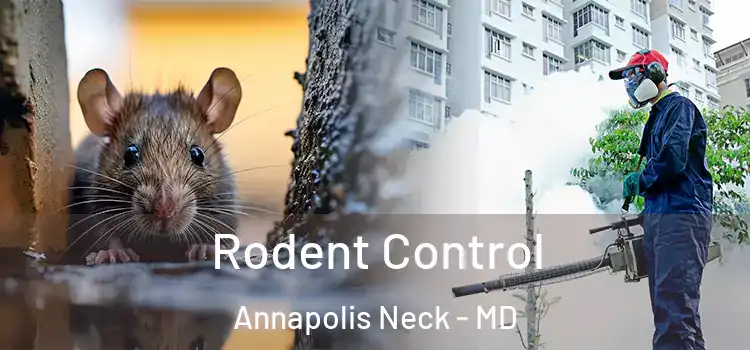 Rodent Control Annapolis Neck - MD
