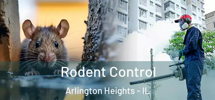  Rodent Control Arlington Heights - IL