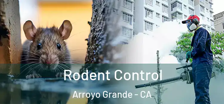  Rodent Control Arroyo Grande - CA