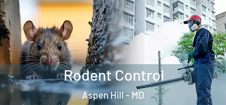 Rodent Control Aspen Hill - MD