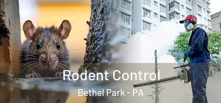  Rodent Control Bethel Park - PA