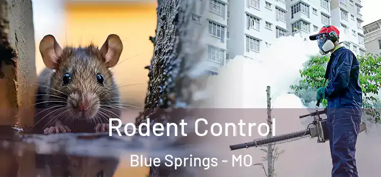  Rodent Control Blue Springs - MO