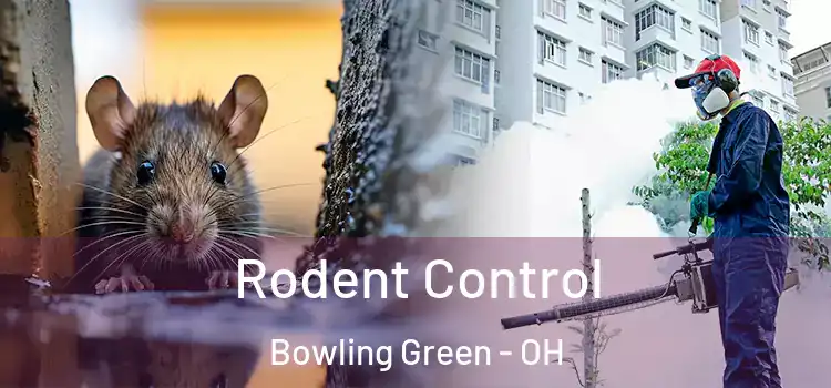 Rodent Control Bowling Green - OH
