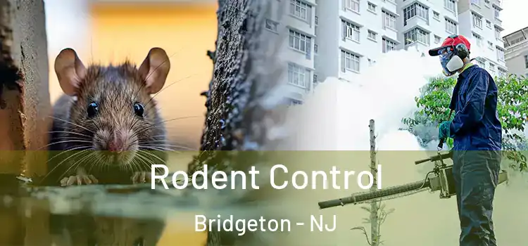  Rodent Control Bridgeton - NJ
