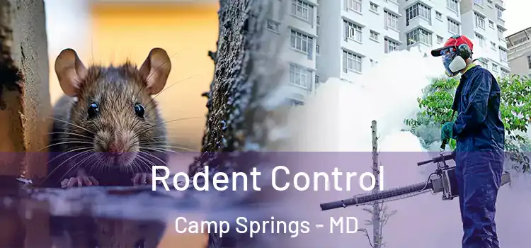 Rodent Control Camp Springs - MD