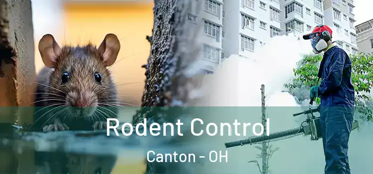 Rodent Control Canton - OH