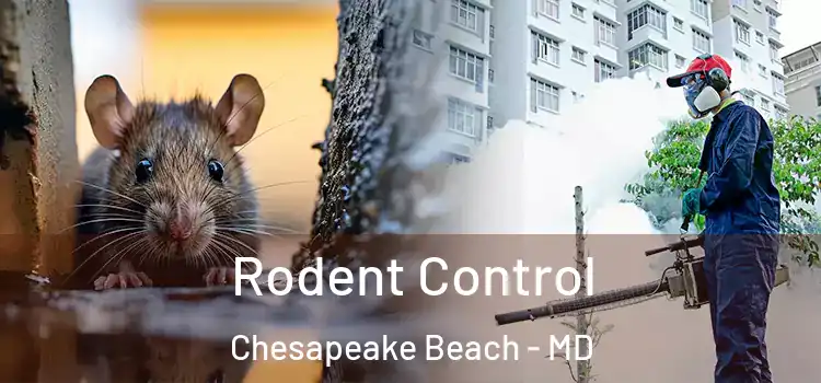  Rodent Control Chesapeake Beach - MD