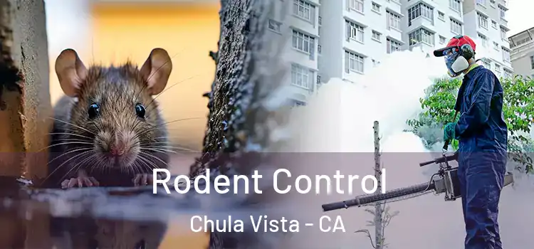  Rodent Control Chula Vista - CA