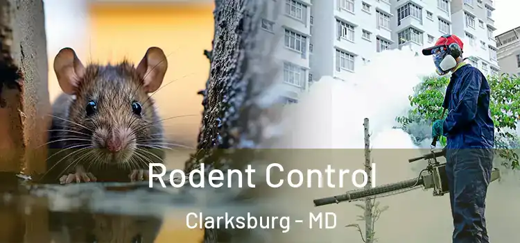  Rodent Control Clarksburg - MD