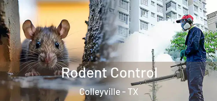 Rodent Control Colleyville - TX