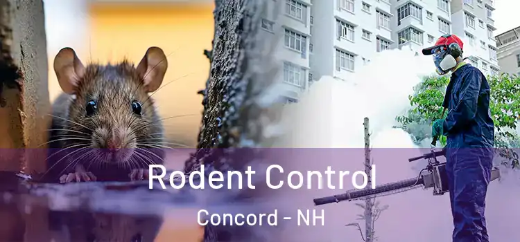 Rodent Control Concord - NH