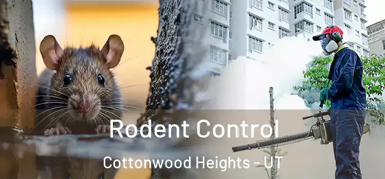  Rodent Control Cottonwood Heights - UT