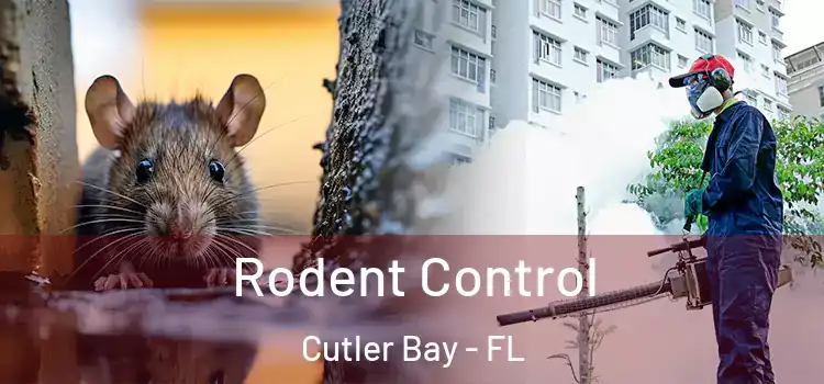 Rodent Control Cutler Bay - FL