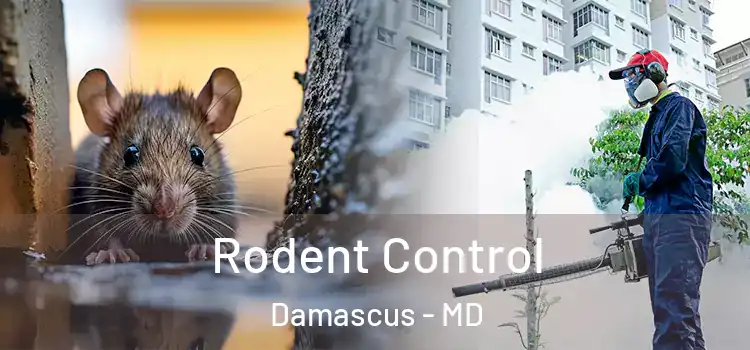  Rodent Control Damascus - MD