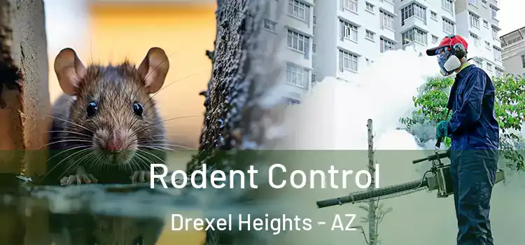  Rodent Control Drexel Heights - AZ