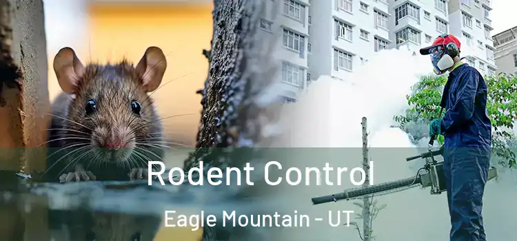 Rodent Control Eagle Mountain - UT