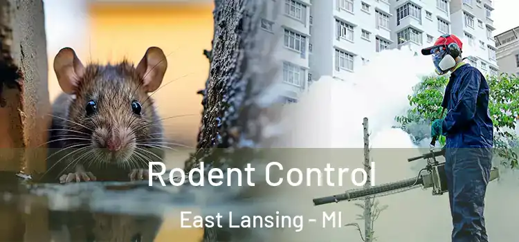 Rodent Control East Lansing - MI