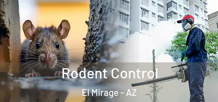  Rodent Control El Mirage - AZ