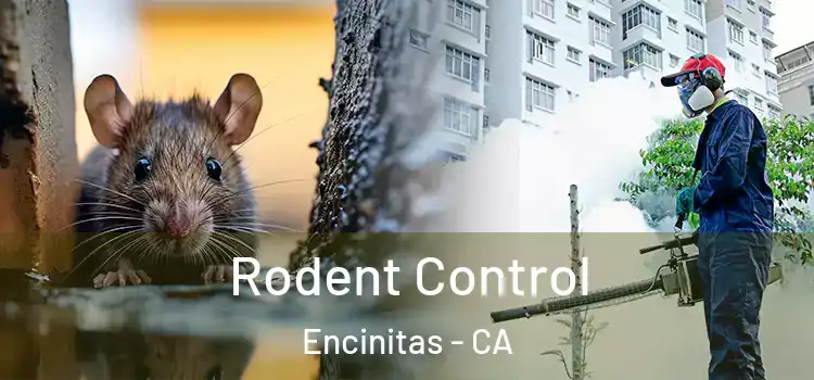  Rodent Control Encinitas - CA