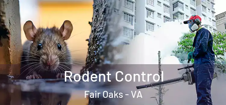 Rodent Control Fair Oaks - VA