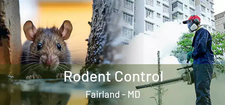  Rodent Control Fairland - MD