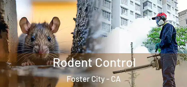  Rodent Control Foster City - CA