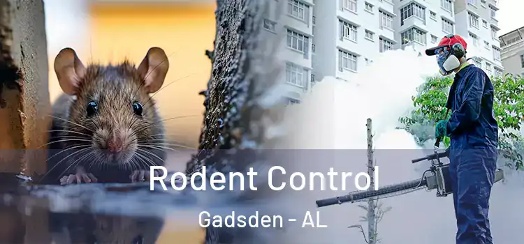 Rodent Control Gadsden - AL