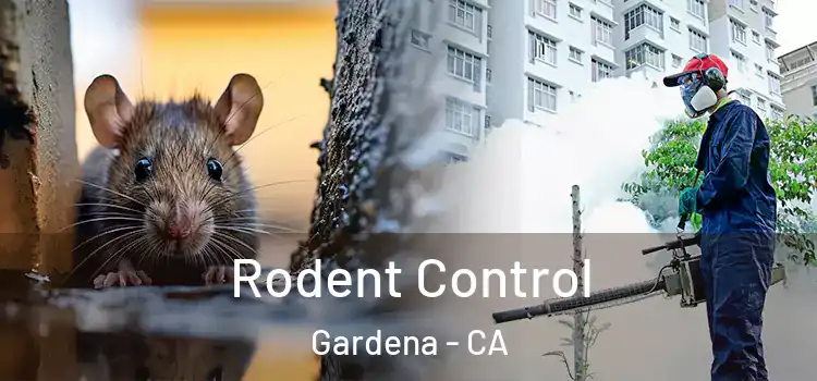 Rodent Control Gardena - CA