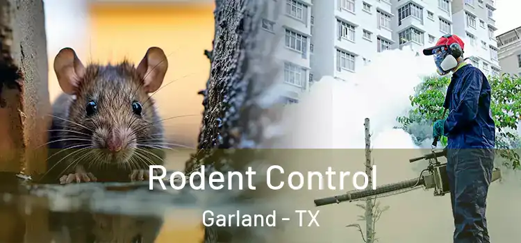 Rodent Control Garland - TX