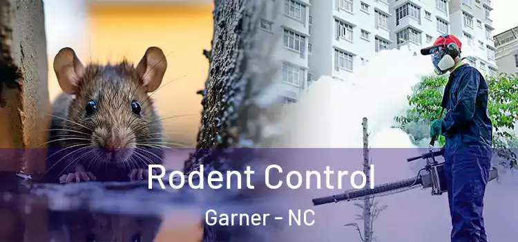 Rodent Control Garner - NC