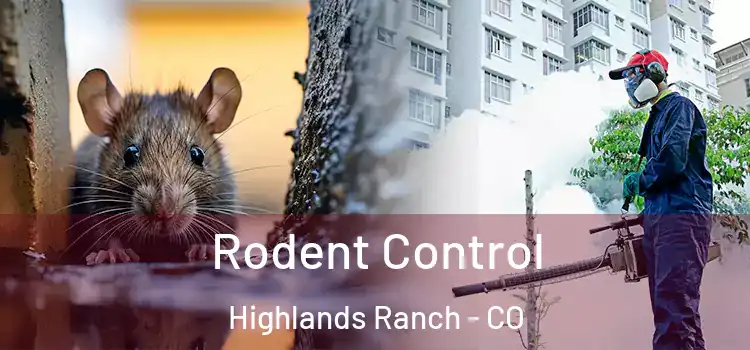 Rodent Control Highlands Ranch - CO