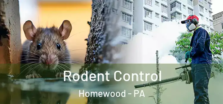  Rodent Control Homewood - PA