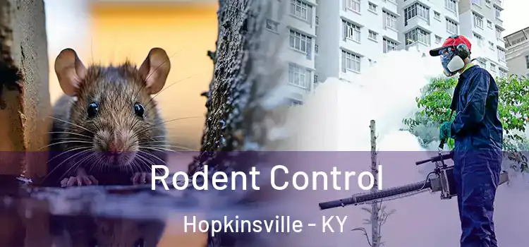  Rodent Control Hopkinsville - KY