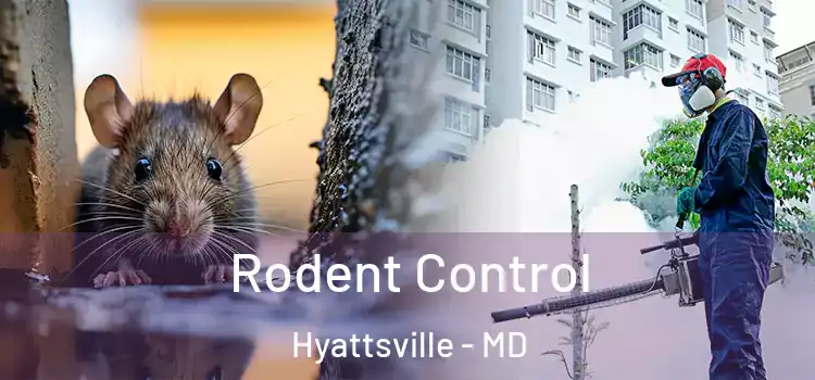  Rodent Control Hyattsville - MD