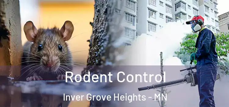  Rodent Control Inver Grove Heights - MN