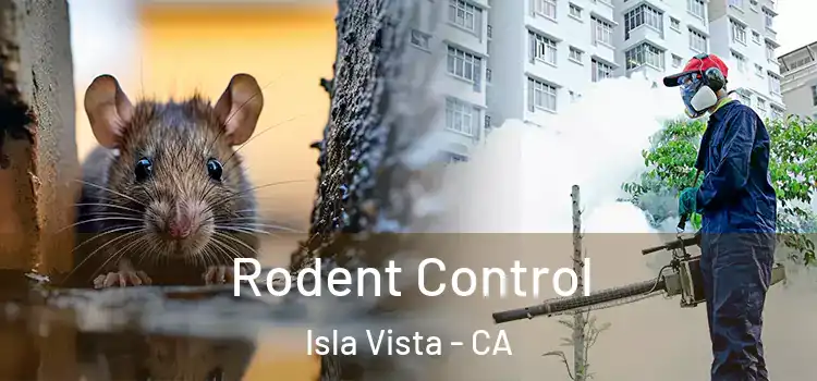  Rodent Control Isla Vista - CA