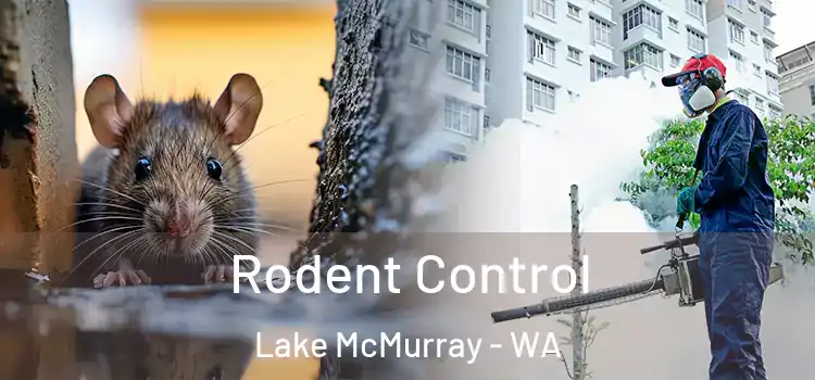  Rodent Control Lake McMurray - WA