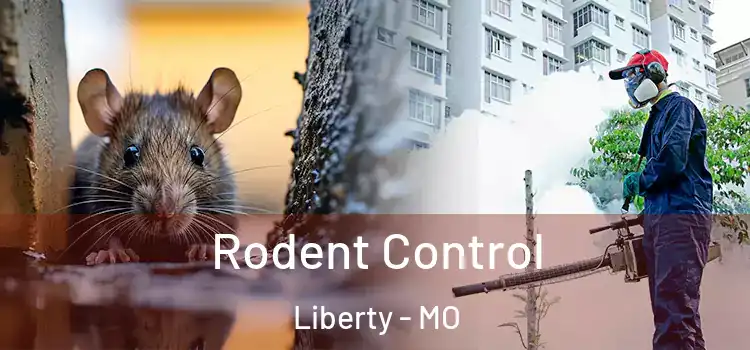  Rodent Control Liberty - MO