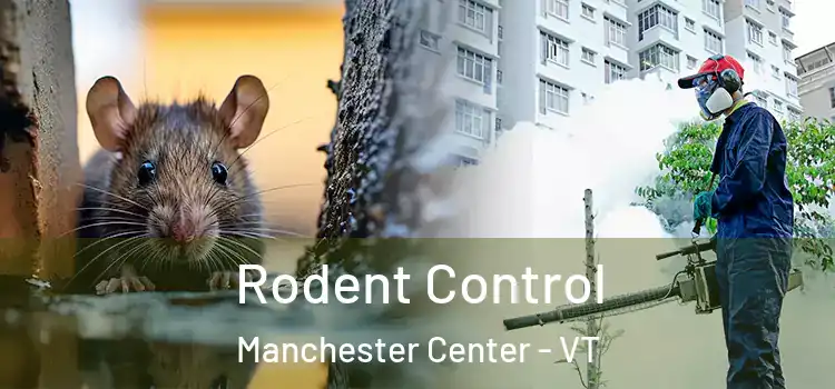 Rodent Control Manchester Center - VT